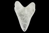 Realistic, 7.4" Carved Quartz Megalodon Tooth - Replica - #202072-1